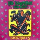 BABY ROOTS : NO WOMAN NO CRY