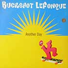 BUCKSHOT LEFONQUE : ANOTHER DAY  / MUSIC EVOLUTION (DJ PR...