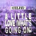 CEEJAY : A LITTLE LOVE (WHAT'S GOING ON)  (CLU...