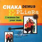CHAKA DEMUS & PLIERS : I WANNA BE YOUR MAN