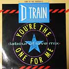 D TRAIN : YOU'RE THE ONE FOR ME  (LABOUR OF LOV...