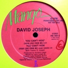DAVID JOSEPH : YOU CAN'T HIDE (YOUR LOVE FROM ME)