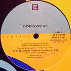 DAVID SANBORN : YOU ARE EVERYTHING