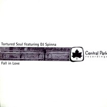 TORTURED SOUL  ft. DJ SPINNA : FALL IN LOVE