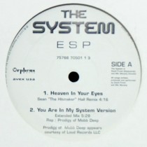 SYSTEM : HEAVEN IN YOUR EYES