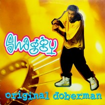 SHAGGY : ORIGINAL DOBERMAN
