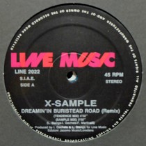 X-SAMPLE : DREAMIN' IN BURISTEAD ROAD  (REMIX)