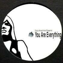 DISCO ANARCHISTS : YOU ARE EVERYTHING