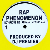 NOTORIOUS B.I.G.  , REDMAN & METHOD MAN : RAP PHENOMENON