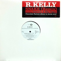 R. KELLY  ft. BIG TIGGER, CAM'RON : SNAKE  (REMIX)