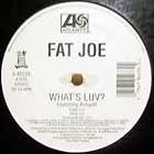 FAT JOE  ft. ASHANTI : WHAT'S LUV ?