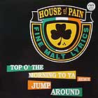 HOUSE OF PAIN : TOP O' THE MORNING TO YA (REMIX)  / JUMP AROUND (PETE ROCK REMIX)