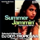 DJ DDT-TROPICANA : SUMMER JAMMIN'  pop ragga style R&B mix