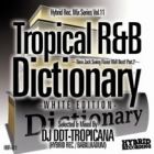 DJ DDT-TROPICANA : Tropical R&B Dictionary -WHITE EDITION-  New Jack Swing Flavor R&B Best! Part.2