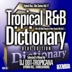 DJ DDT-TROPICANA : Tropical R&B Dictionary -BLUE EDITION-  90's US R&B Classics & Rare Tracks Mix Vol.2