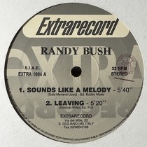 RANDY BUSH : SOUNDS LIKE A MELODY