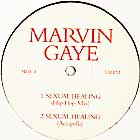 MARVIN GAYE : WHAT'S GOING ON  2003 / SEXUAL HEALIN...