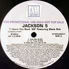 JACKSON 5  ft. BLACK ROB : I WANT YOU BACK  '98