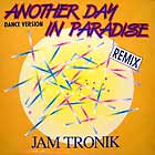 JAM TRONIK : ANOTHER DAY IN PARADISE  (REMIX)