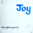 LIGHTNING SEEDS : JOY