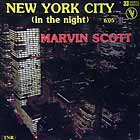 MARVIN SCOTT : NEW YORK CITY (IN THE NIGHT)