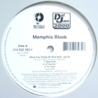 MEMPHIS BLEEK  ft. JAY-Z : WHAT YOU THINK OF THAT