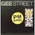 P.M. DAWN : A WHATCHERS POINT OF VIEW (DON'T CHA THINK)  / ODE TO A FORGETFUL MIND