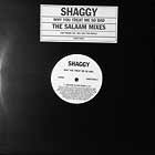 SHAGGY : WHY YOU TREAT ME SO BAD  (THE SALAAM MIXES)