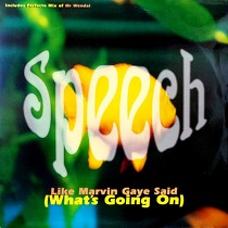 SPEECH : LIKE A MARVIN GAYE SAID (WHAT'S GOING...
