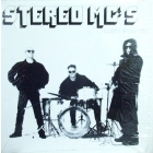 STEREO MC'S : LOST IN MUSIC