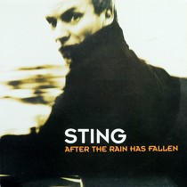 STING : AFTER THE RAIN HAS FALLEN  / SHAPE OF MY HEARTH