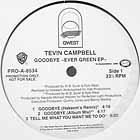 TEVIN CAMPBELL : GOODBYE EVER GREEN EP