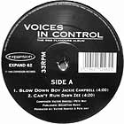 V.A. : VOICES IN CONTROL