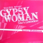 WALL FIVE  PRESENT : GYPSY WOMAN (SHE'S HOMELESS)