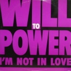 WILL TO POWER : I'M NOT IN LOVE